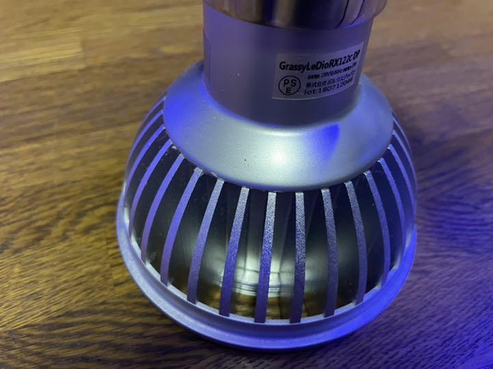 らくらくメ∄ ボルクスジャパン GrassyLeDio RX122c DP レディオクリップ付 6fRYg-m67502480081 ⊬カテゴリー