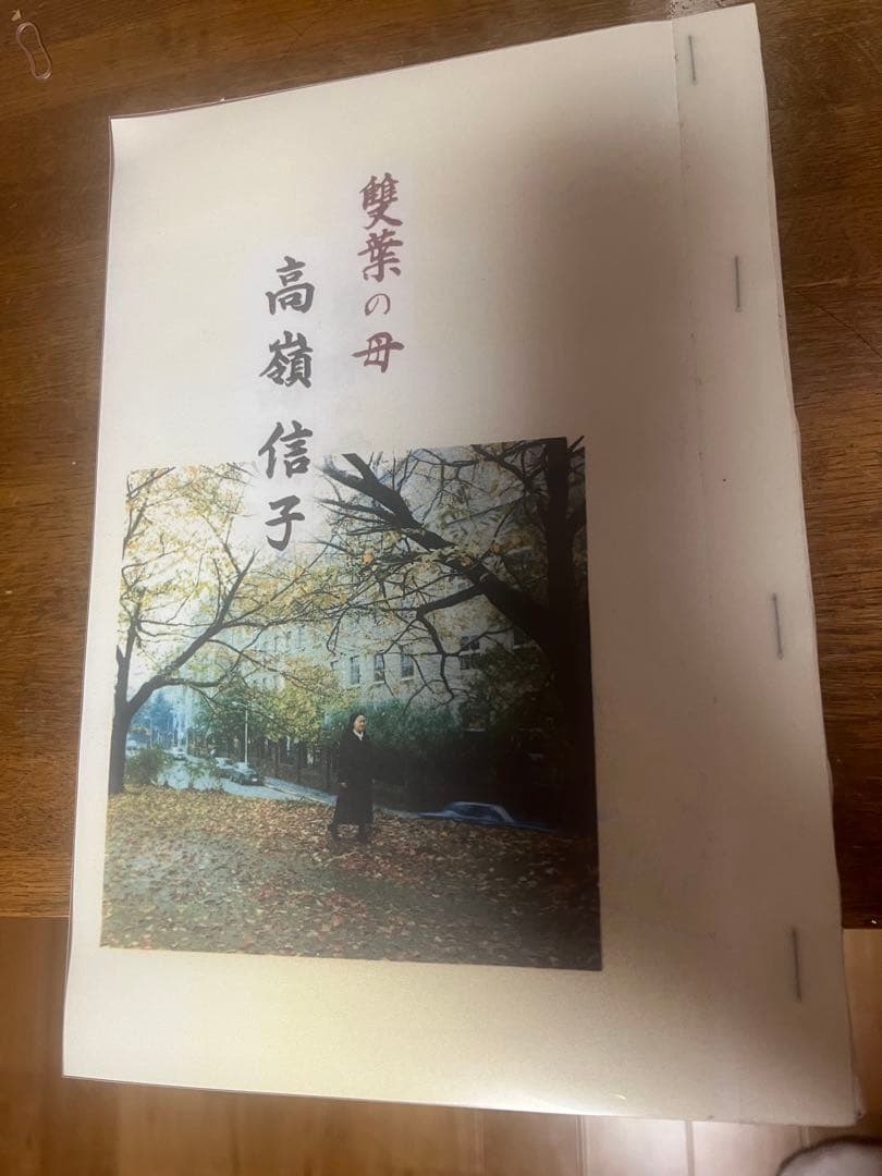 雙葉の母 高瀬信子目立った傷や汚れなし