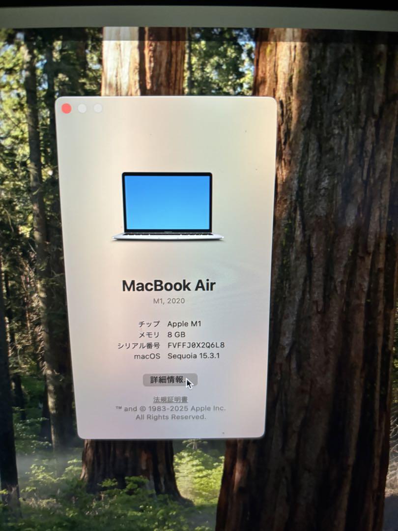MacBook シルバー USB-Cポート m1
