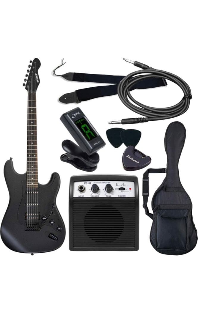 希望者のみラッピング無料】 エレキギター SELDER 初心者向け エレキ