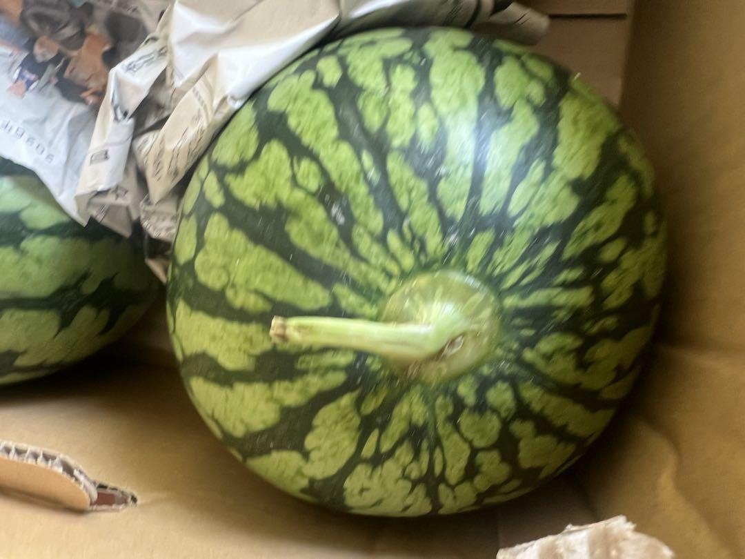 茨城産小玉スイカひとりじめ1箱4玉8kg - メルカリ