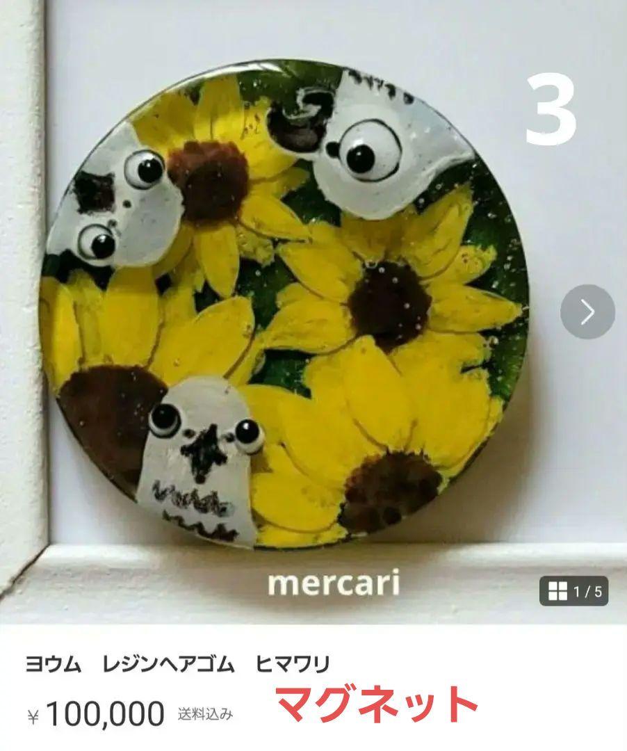 ゆきめい様お取り置き　7/1まで　ヨウム　レジン　バッグクリップ　フラワー