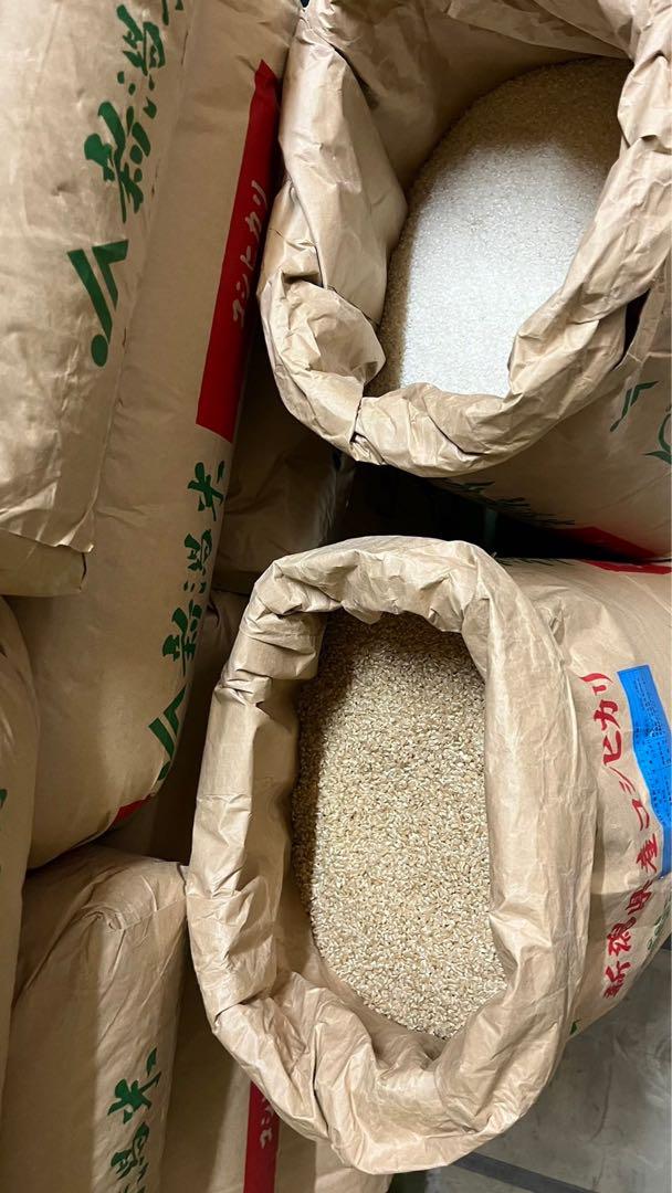 新潟県産コシヒカリ 笹神 特別栽培米 農薬50%減 玄米 送料込み 30kg