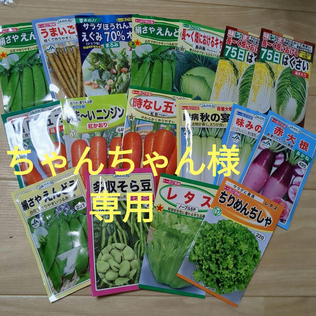 ドンちゃん様専用