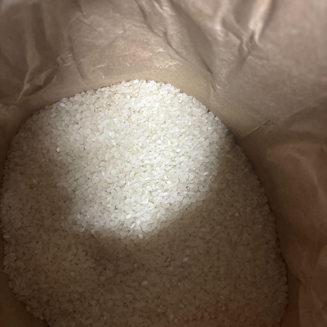 自慢のお米 はれわたり10kg 新米　白米