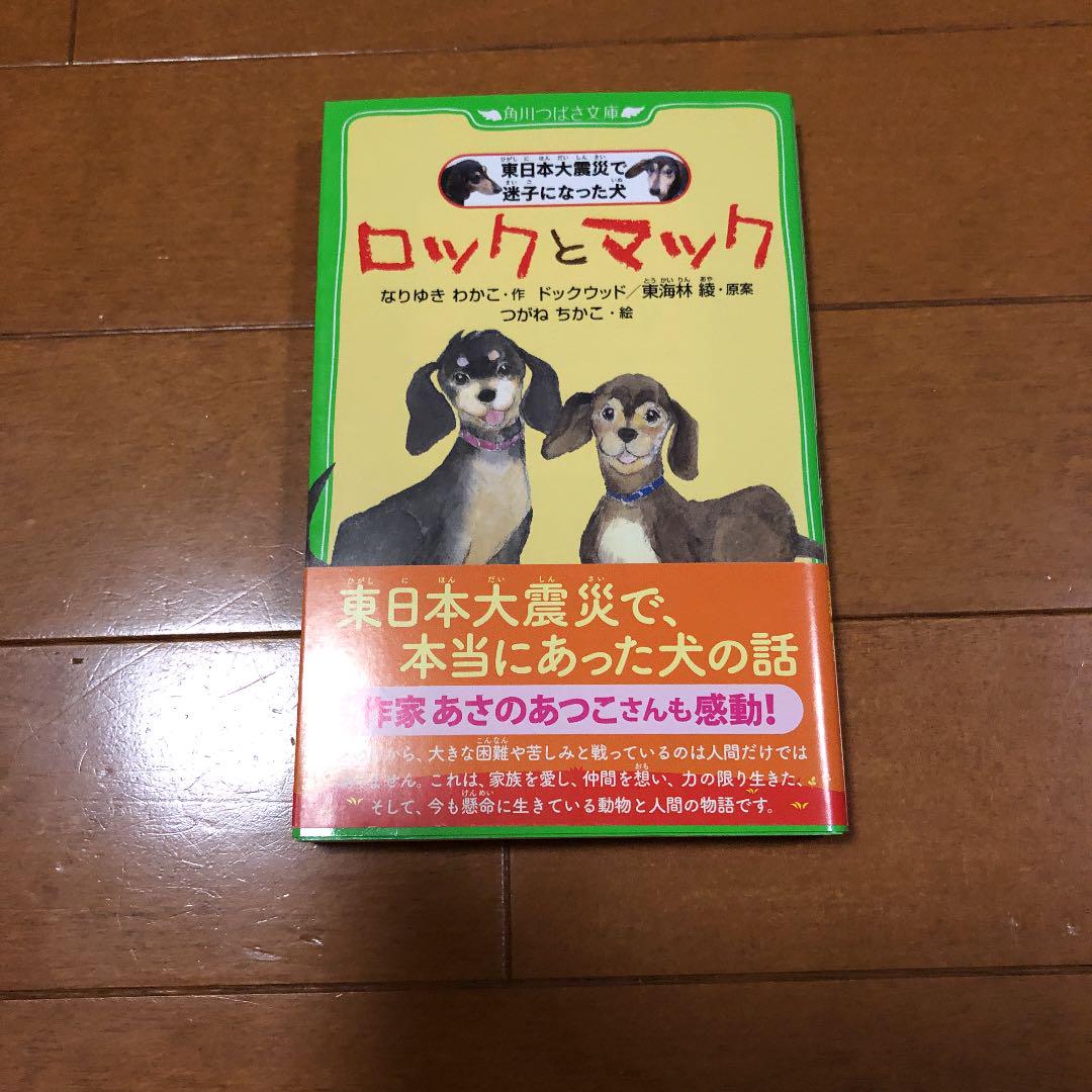 ロックとマック 東日本大震災で迷子になった犬 メルカリ ロックとマック 東日本大震災で迷子になった犬 メルカリ
