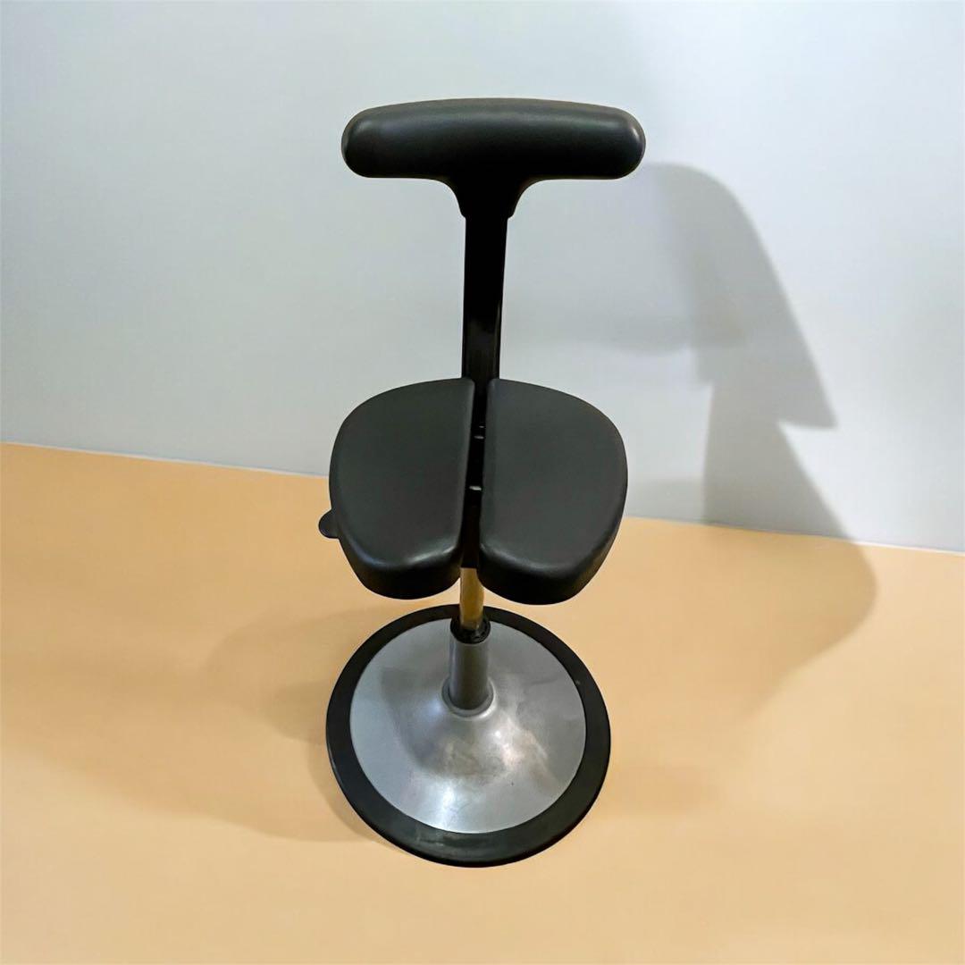 アーユル チェア　Ayur-chair ルナ　丸ベース　足置きリング　マットつき アーユル・チェアージャパン ルナ専用 足置きリング 30075 2個