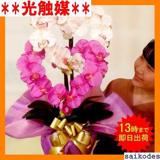 メルカリ 光触媒 花 光触媒 米寿 喜寿 インテリア サロン 造 メント ギフト 28 インテリア 住まい 小物 17 980 中古や未使用のフリマ メルカリ 光触媒 花 光触媒 米寿 喜寿 インテリア サロン 造 メント ギフト 28 インテリア 住まい 小物 17 980 中古や未使用のフリマ
