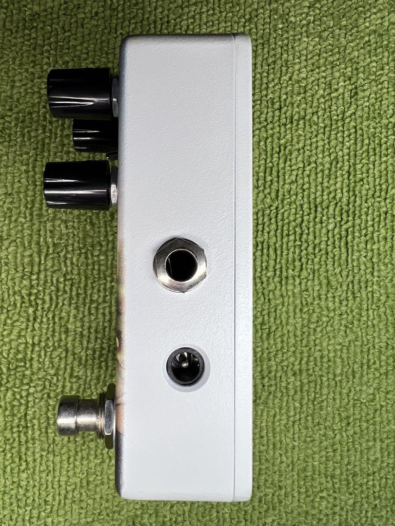 Animals Pedal Custom Illustrated 028光の匂い - メルカリ