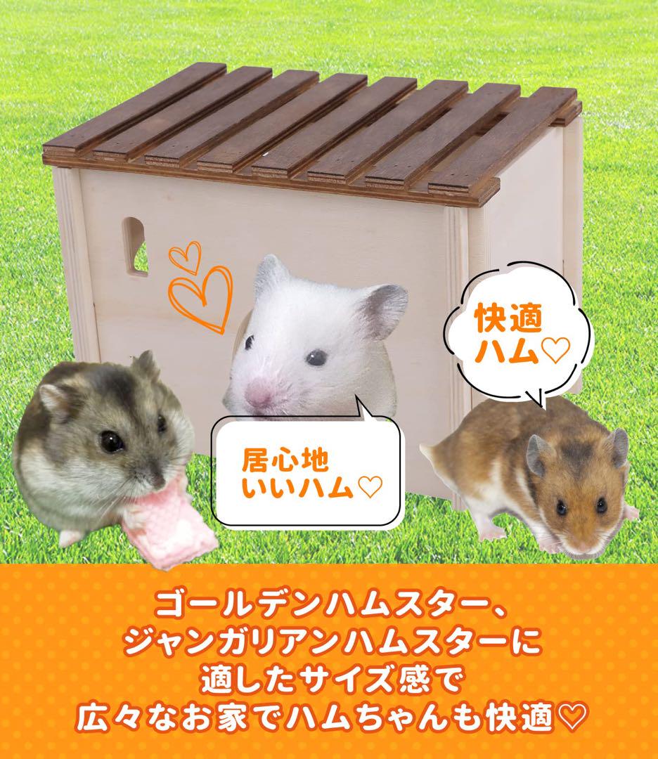 ハムスター 小動物