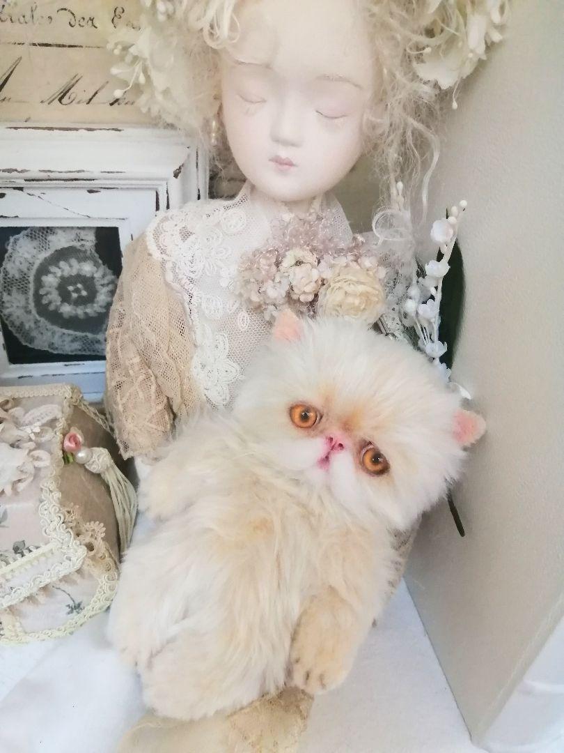 子猫ちゃん♡エキゾチックベビー♡お腹ぽっこり♡アートドール