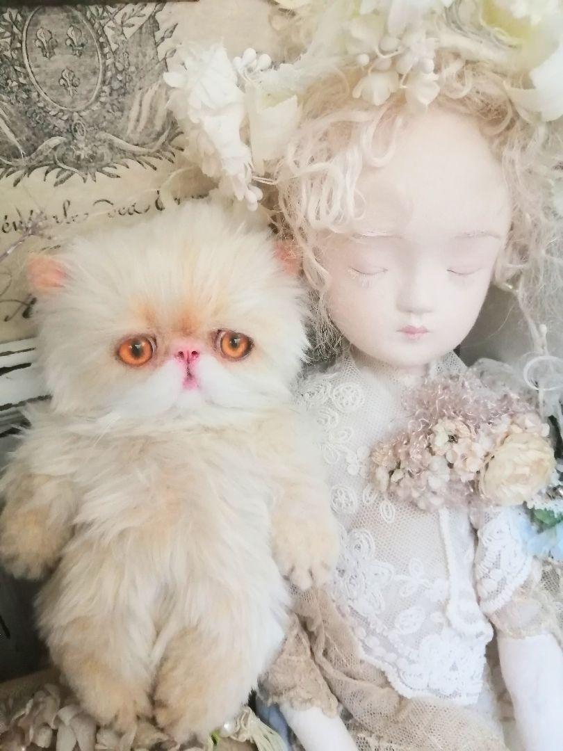 ポッケにゃん♡エキゾチック子猫ちゃん♡アートドール