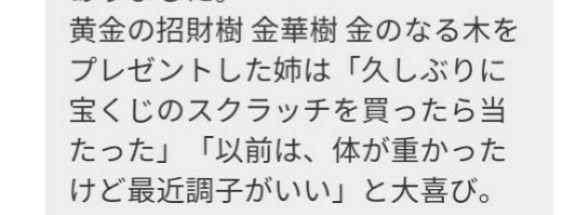 風水開運絵画 全体 金運 やる気 知性 YysSP-m67648049681 金運 幸せの招財樹 金のなる木 花 定番低価