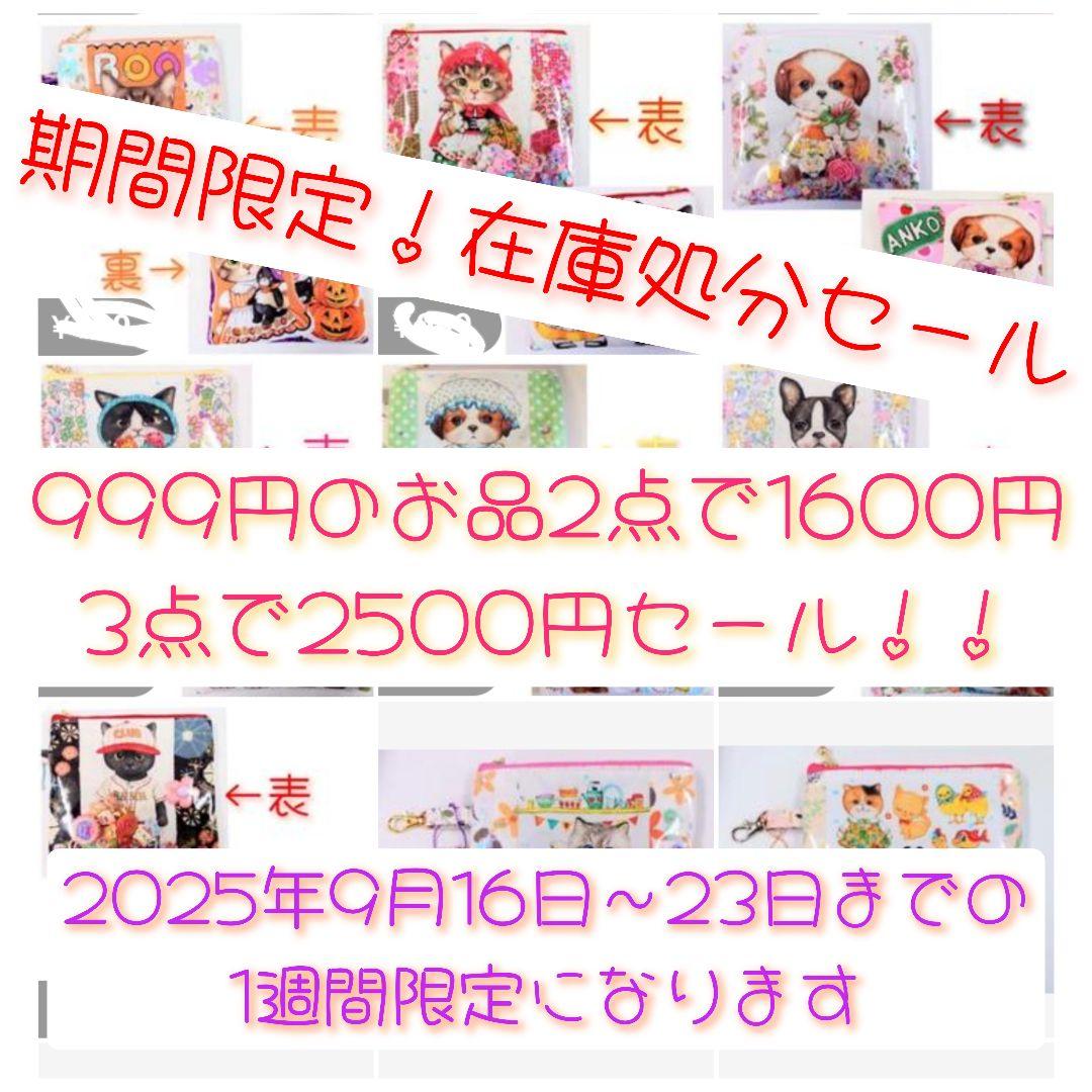 期間限定在庫処分セール♡コヤンイサムチョン♡シャカシャカポーチ