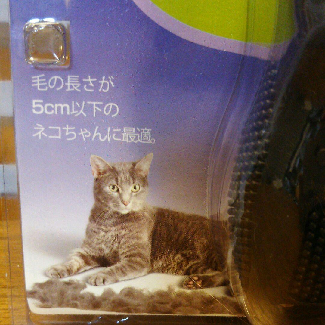 無料ダウンロード 小型 猫 種類 すべての動物の絵