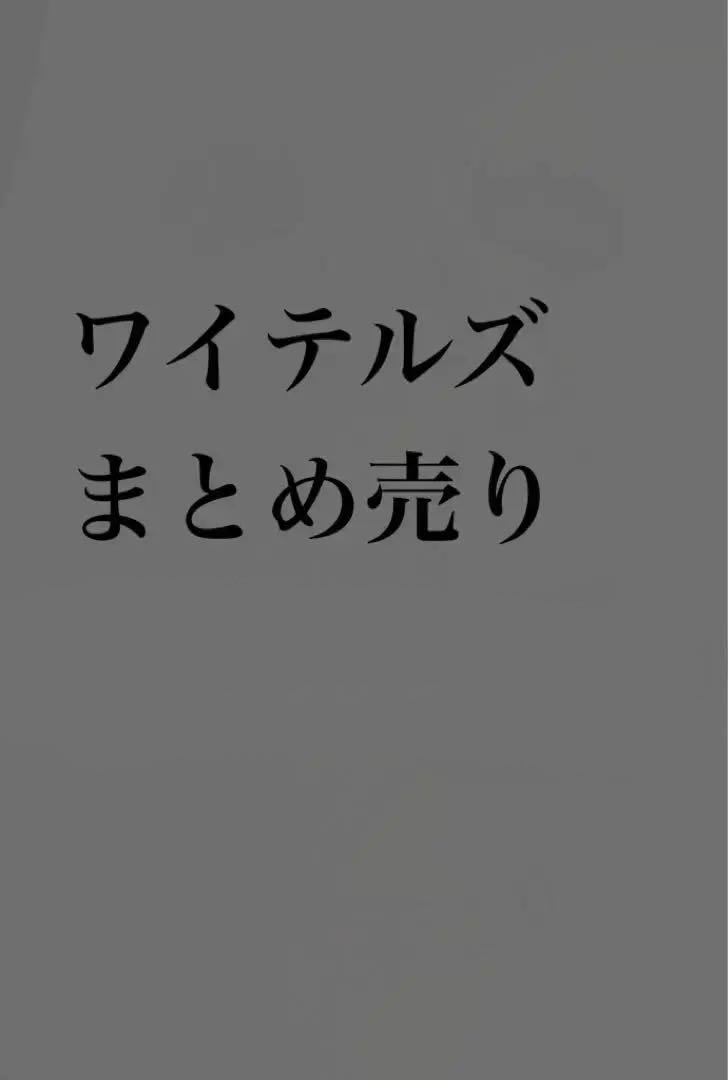 ワイテルズ まとめ売り シャークん Broooock 多め - メルカリ