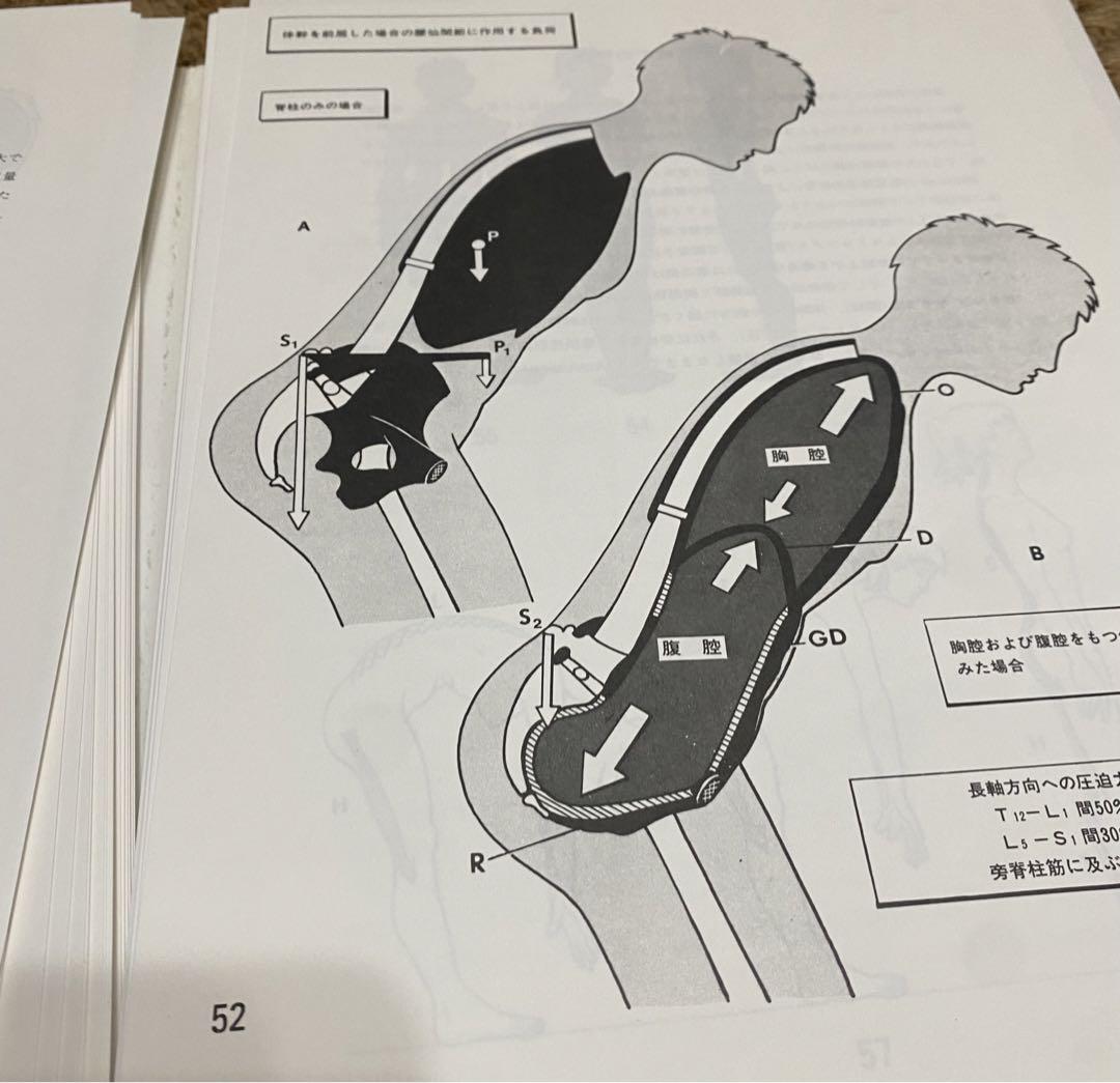 カパンティ関節の生理学 セット