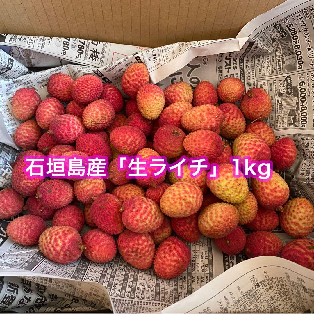 石垣島産 生ライチ 1kg クール便