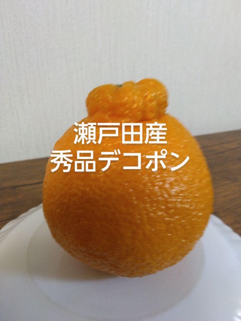 瀬戸田産　秀品デコポン　箱込み10㎏　ほんほん