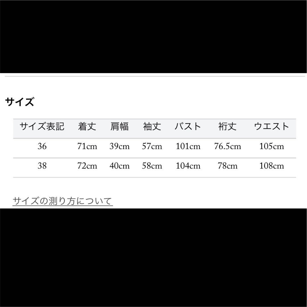STRASBURGO/ストラスブルゴ 前立てフリルシャツ 36 白 レディース