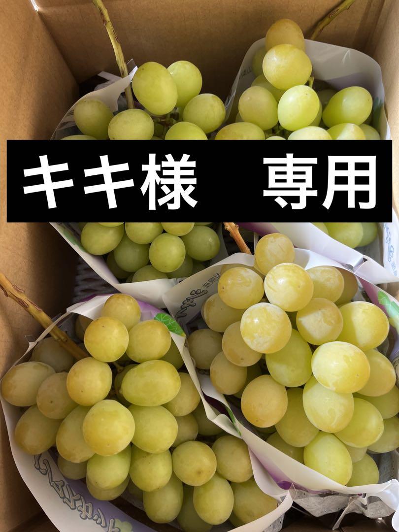 山梨県産シャインマスカット　5キロ