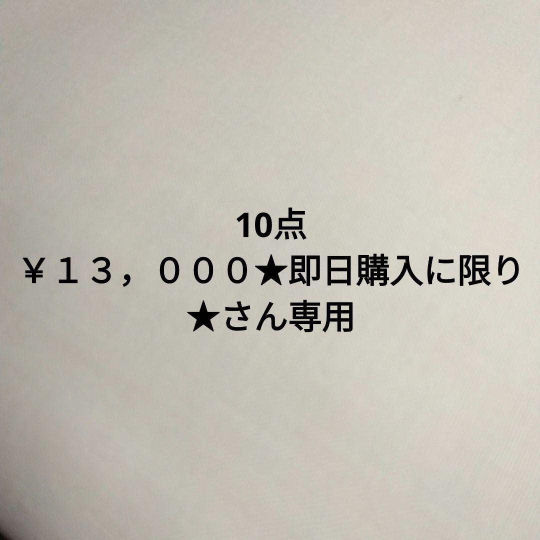 10点 ￥１３，０００★即日購入に限り★さん専用12㍍