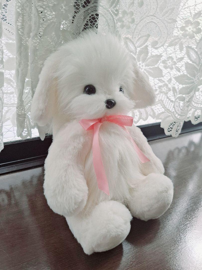 犬