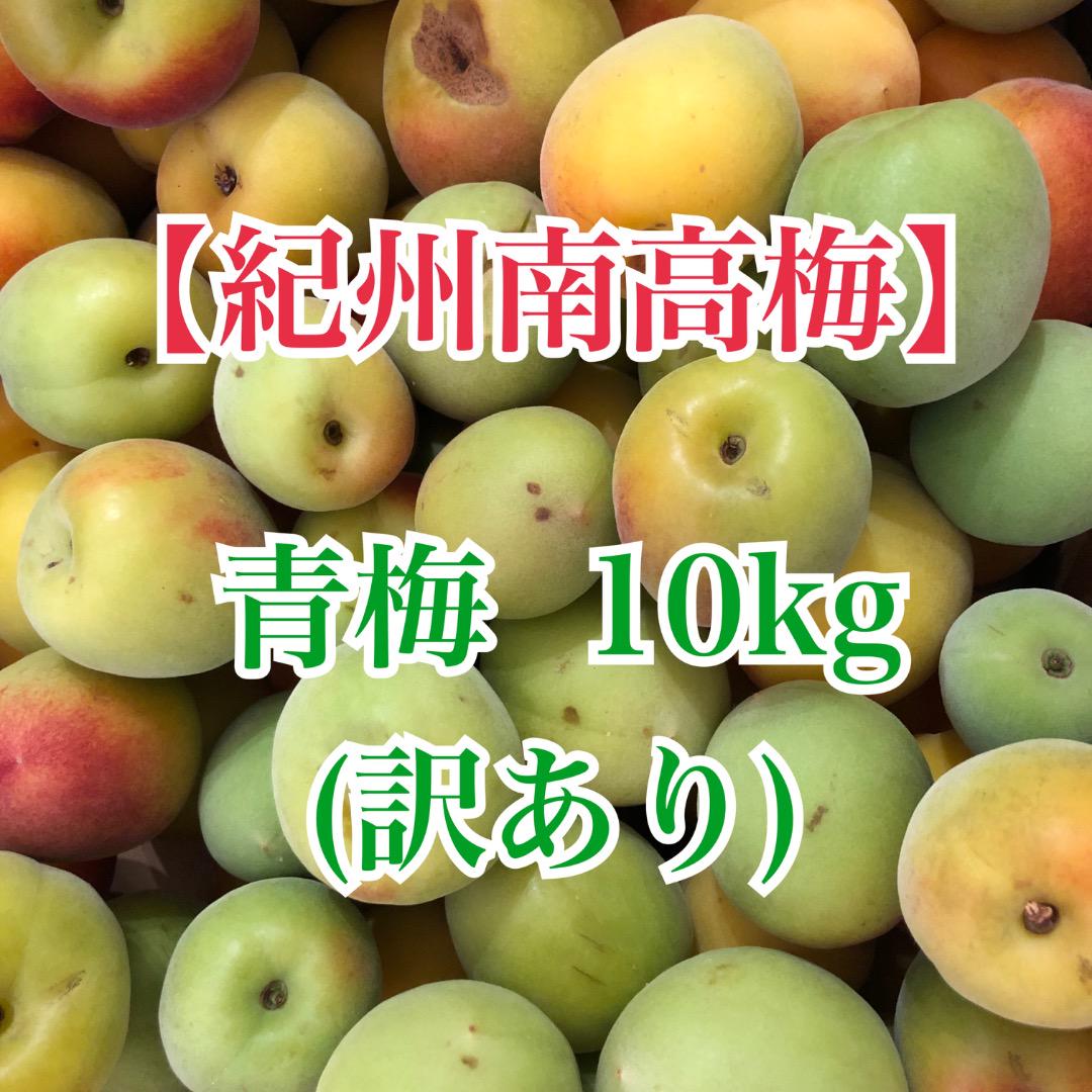紀州南高梅　青梅　訳あり　2L・3L　10kg　送料込み