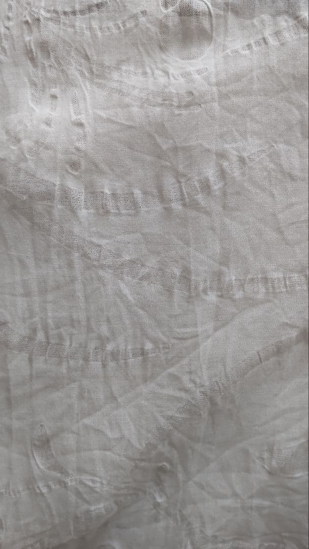 ★本麻 紋紗 襦袢 5点★