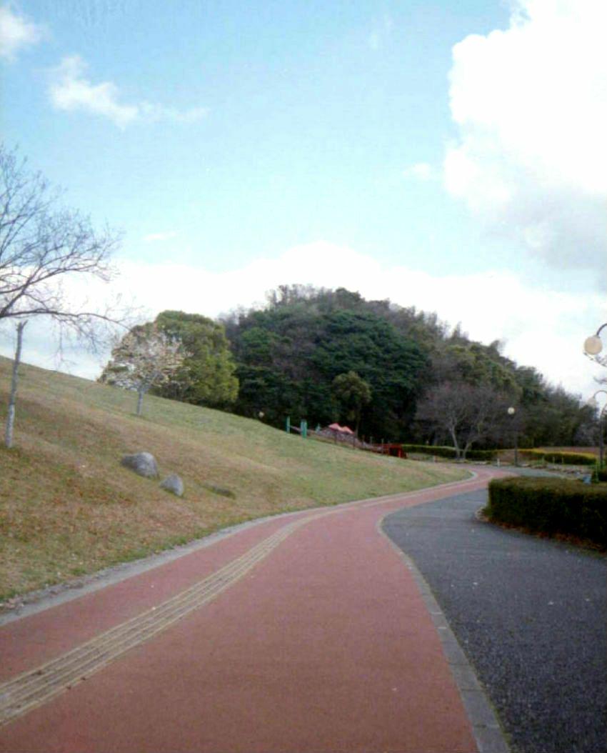 OLYMPUS PEN EE-2【実写済みの動作品です】