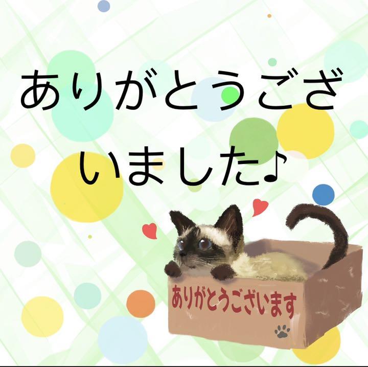 【1095】海外 マステ 切り売り