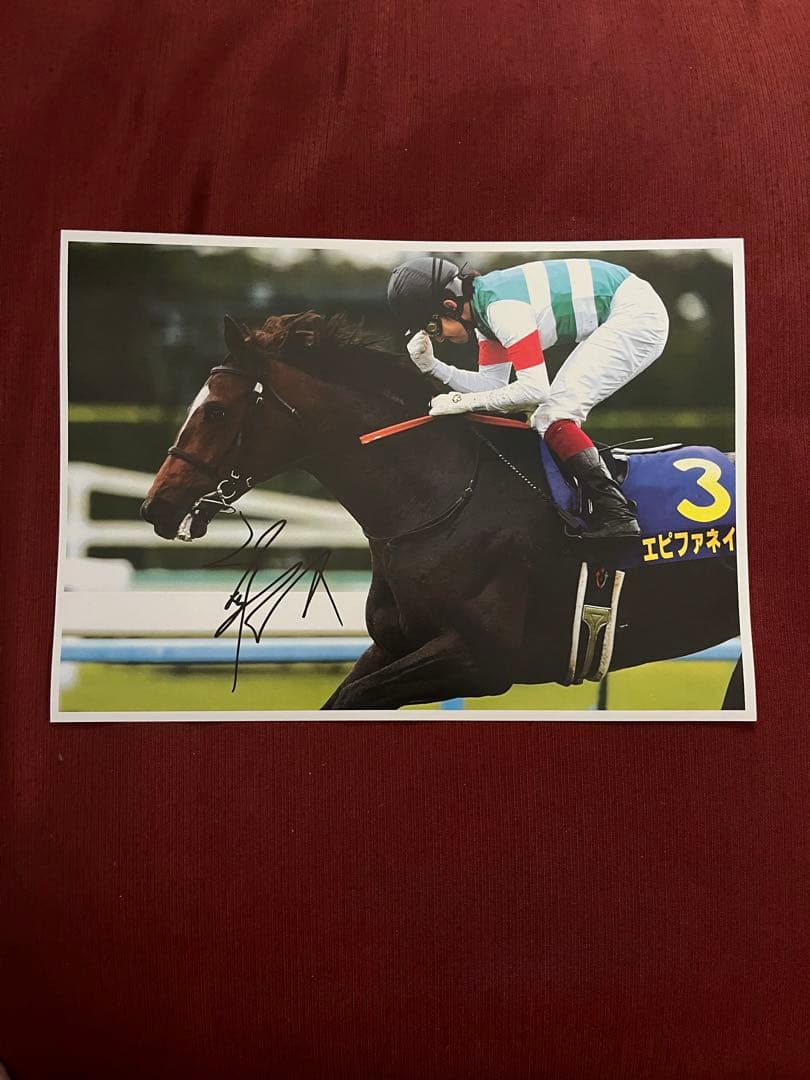 エピファネイア 直筆サインカード 菊花賞 福永祐一 おまけカード付き 2024 ゲーム・おもちゃ・グッズ エピファネイア 菊花賞2013 福永