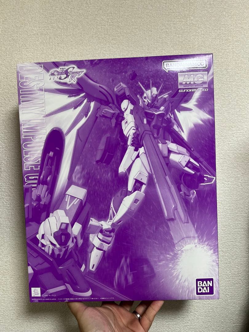 MG 1/100 デスティニーインパルスガンダムR（リジェネス）