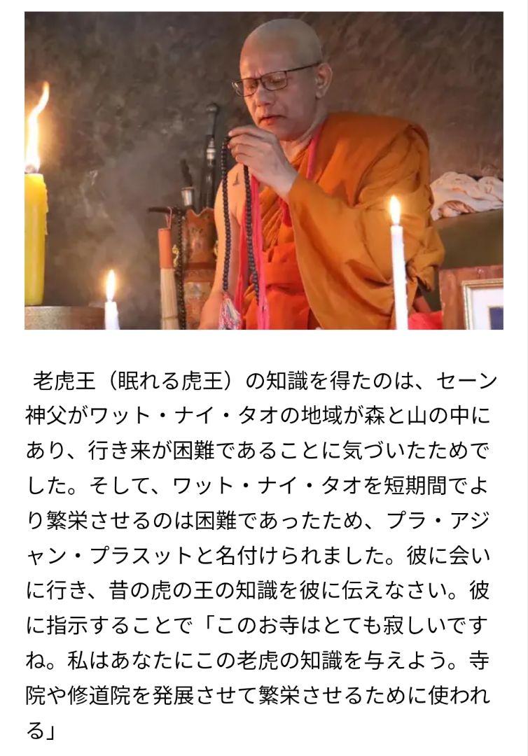 特別価格　タクシラカオオーの秘術　眠れる虎王はお金を食べる　財運御守り