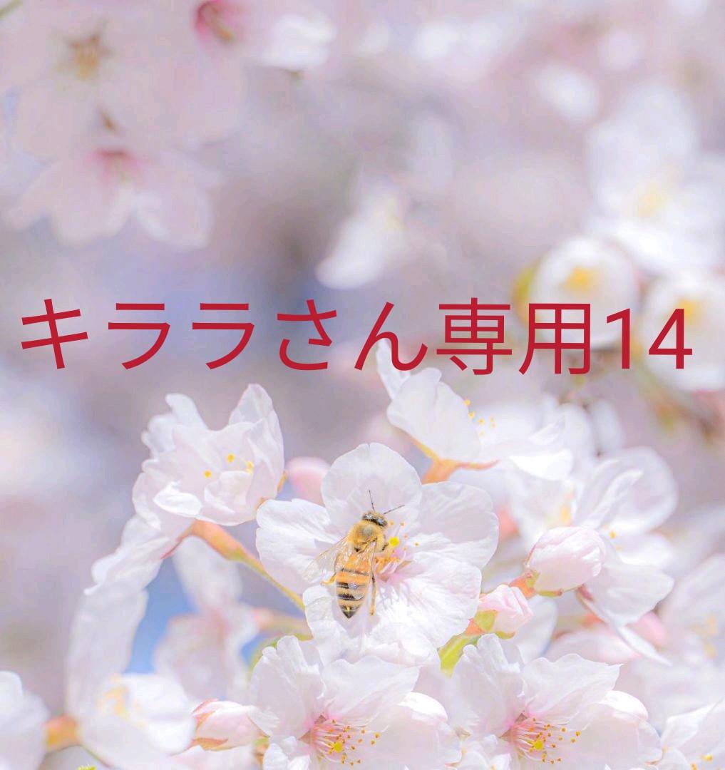 キララさん専用14 - www.molinalawgroup.com