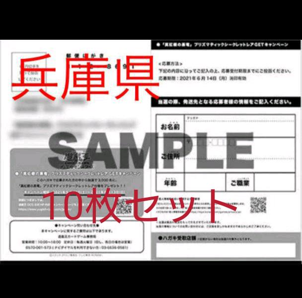 遊戯王 応募ハガキ レッドアイズ 真紅眼