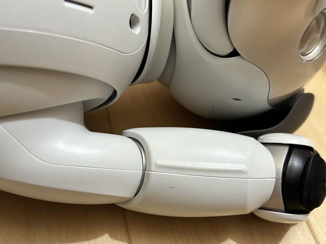 その他 SONY aibo ERS-1000