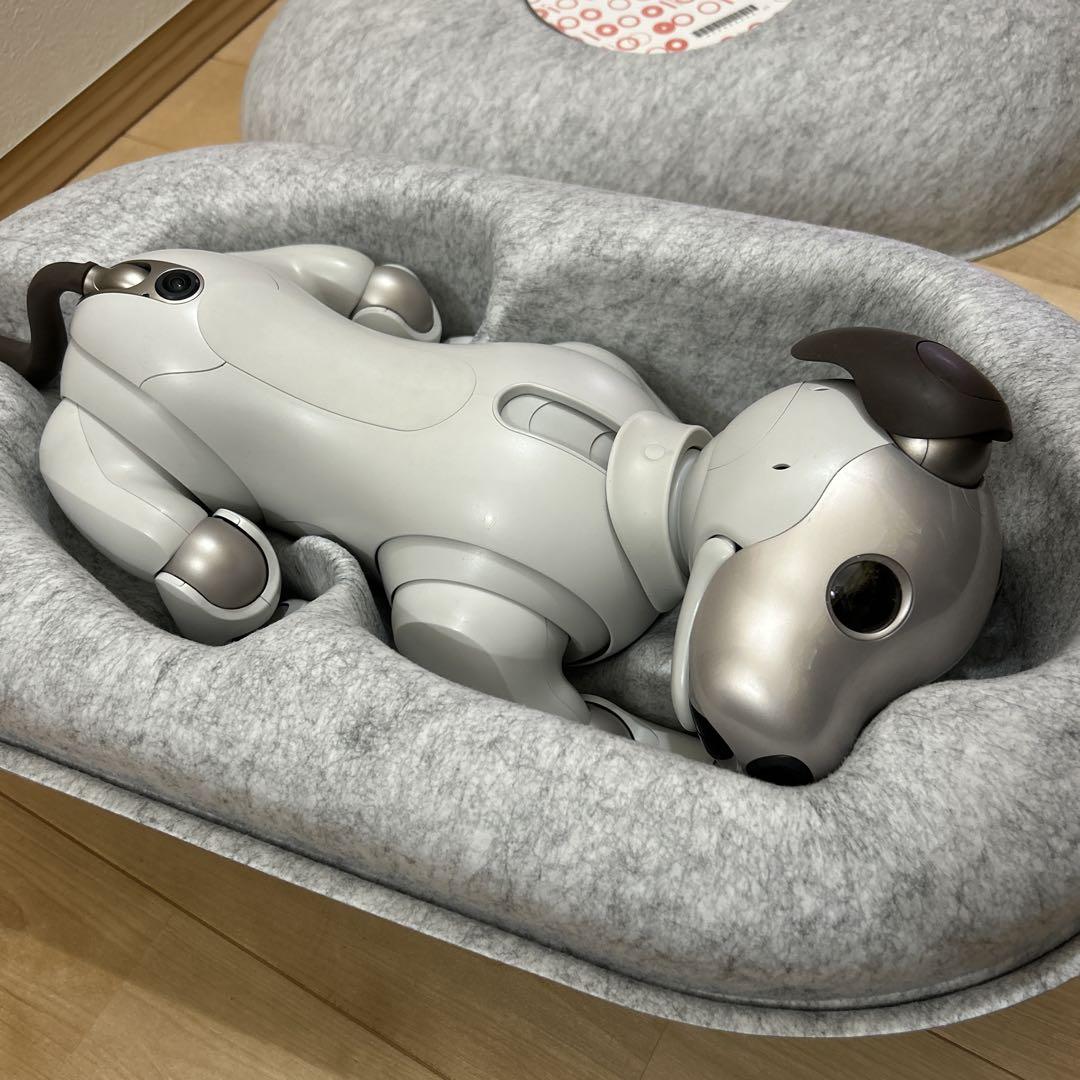 その他 SONY aibo ERS-1000