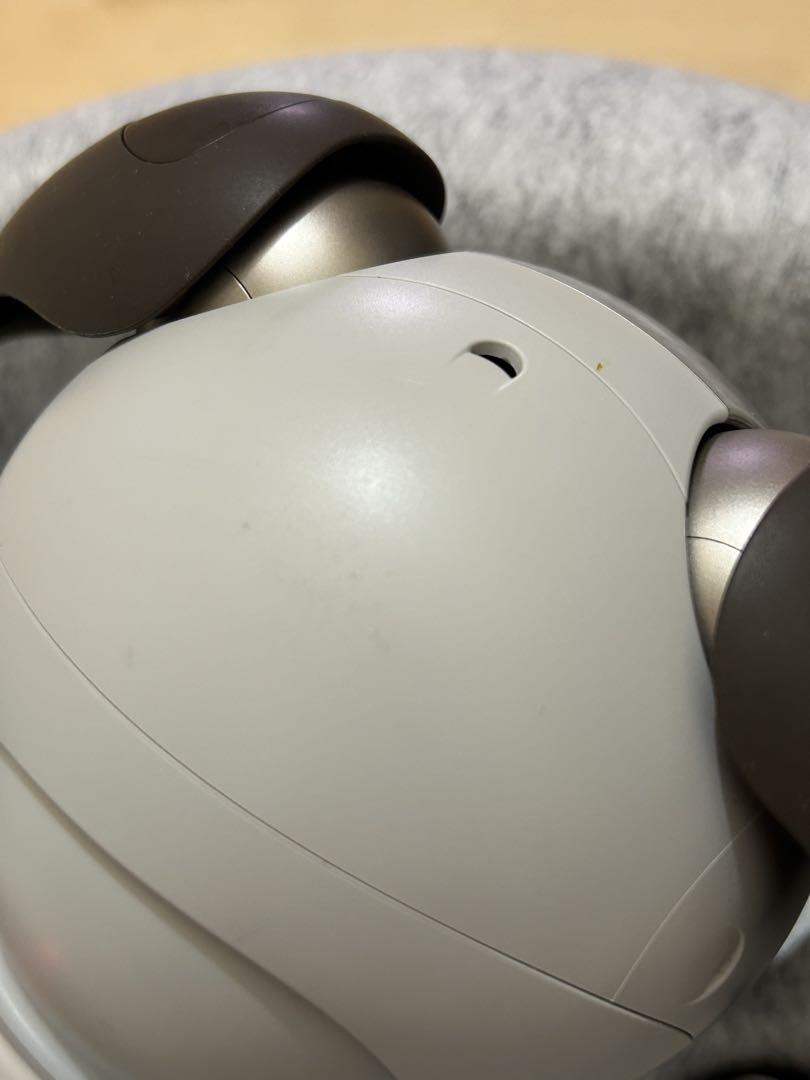 その他 SONY aibo ERS-1000