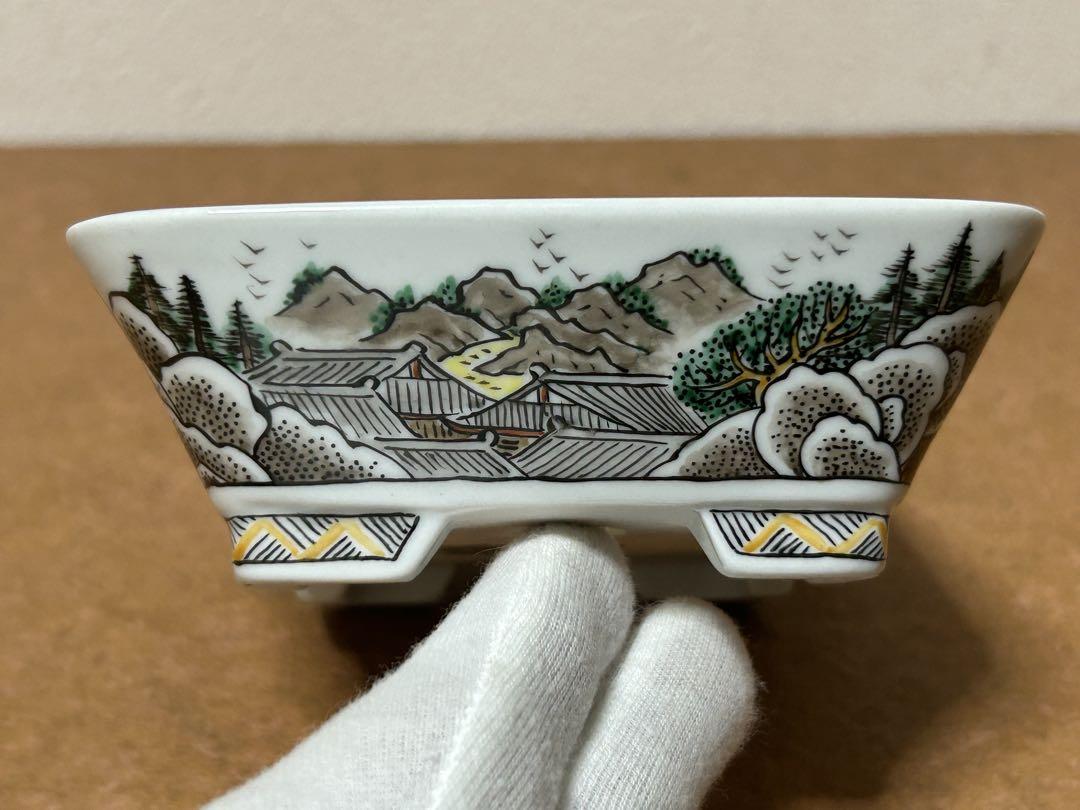 盆栽鉢　小品盆栽　山野草 盆栽鉢小品盆栽山野草