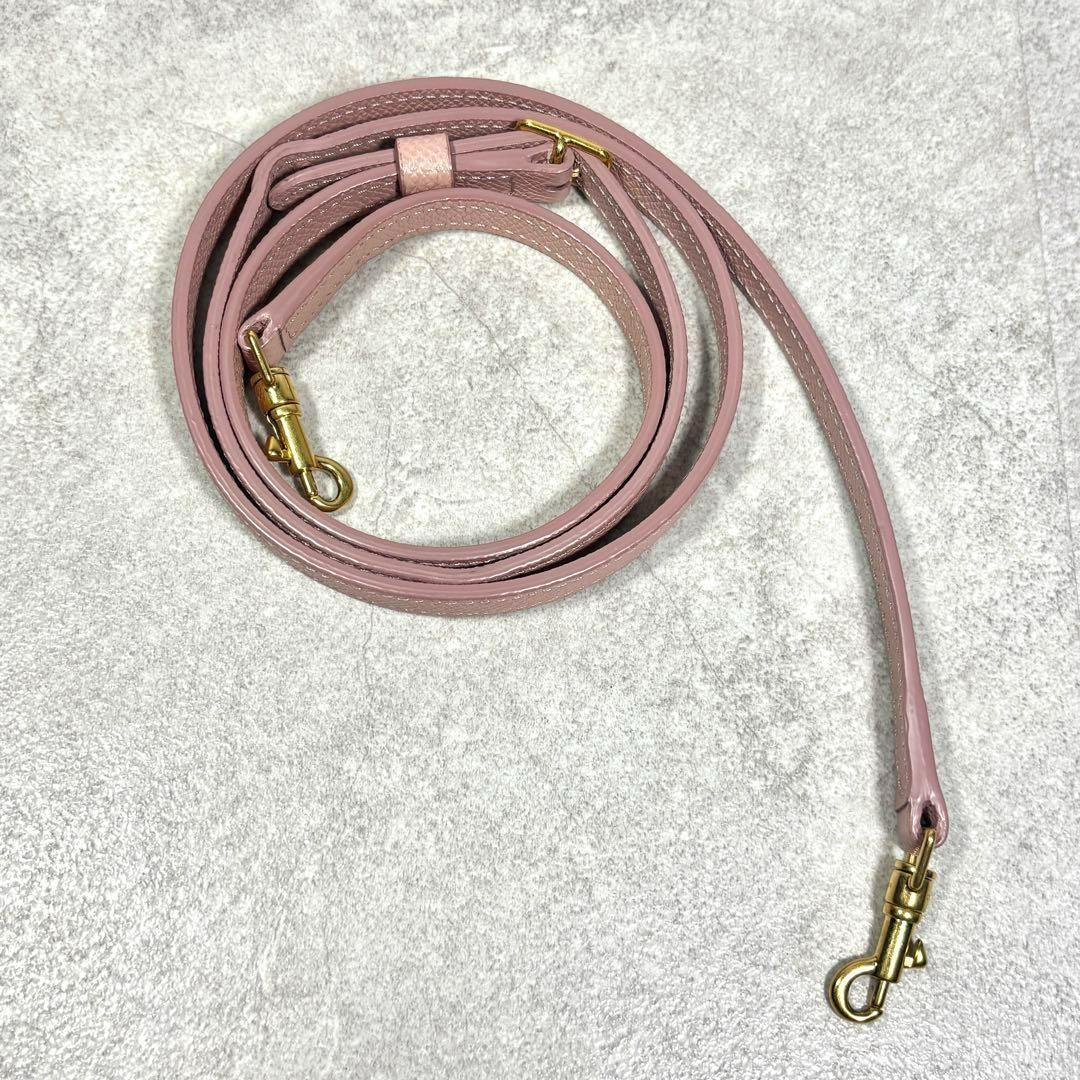 CELINE セリーヌ ベルトバッグ ナノ ハンド/ショルダーバッグ ピンク