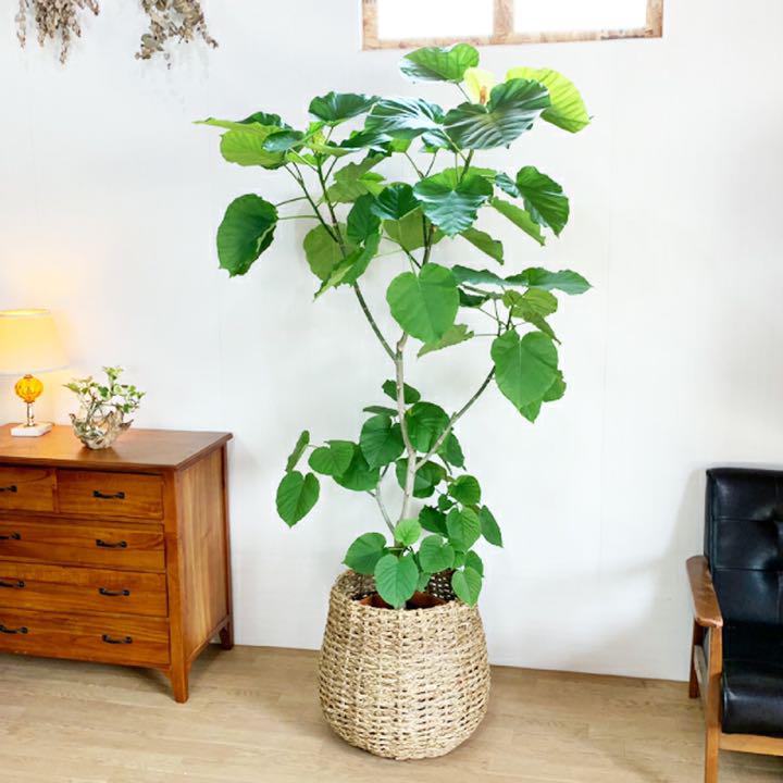 激安直営店 手編み 10号用 鉢カバー 観葉植物 バスケット かご - バスケット/かご - news.elegantsite.gr 激安直営店 手編み 10号用 鉢カバー 観葉植物 バスケット かご - バスケット/かご - news.elegantsite.gr