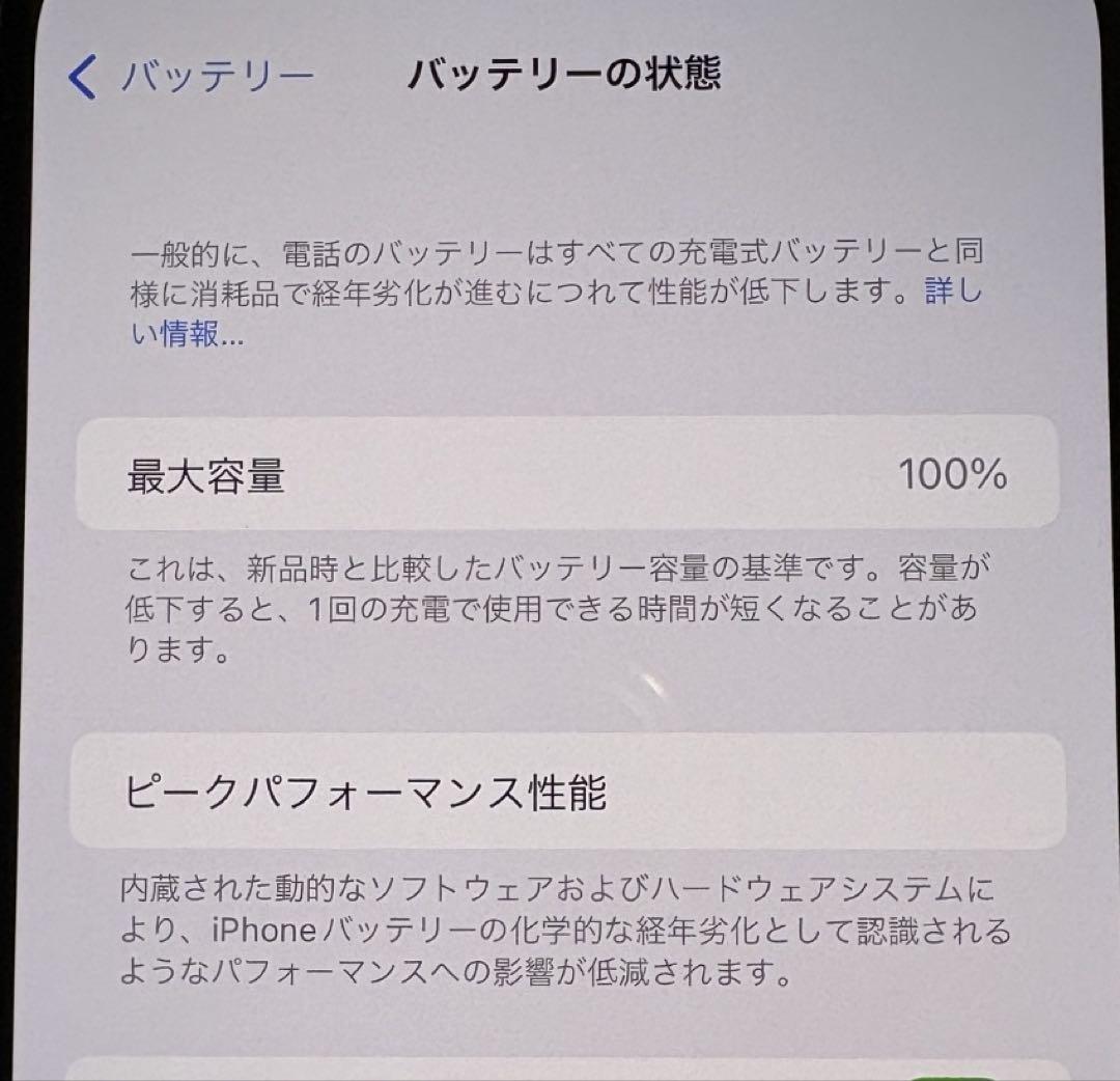 iPhone13 256GB ブルー SIMフリー 極美品