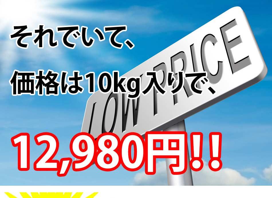最安値挑戦 国産 12 980円 mZdxA-m67885027313 ソイプロテイン10kg 送料無料 豊富な得価