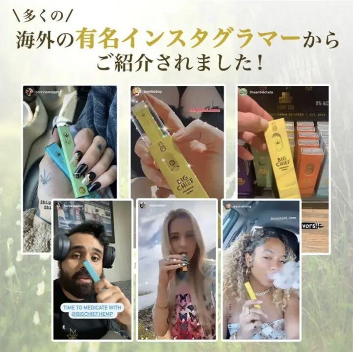 BIG CHIFF ブロードスペクトラム CBD ベイプ ペン 使い捨てタイプ BIG CHIEF CBDリキッドペン VAPE 25本入り/5種のフレーバー