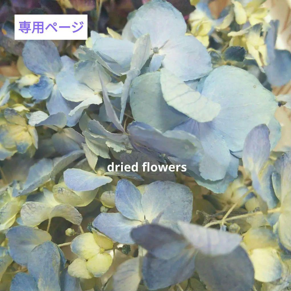 蘭さま/ご専用ページ No.1133 蘭さま/ご専用ページ No.1133