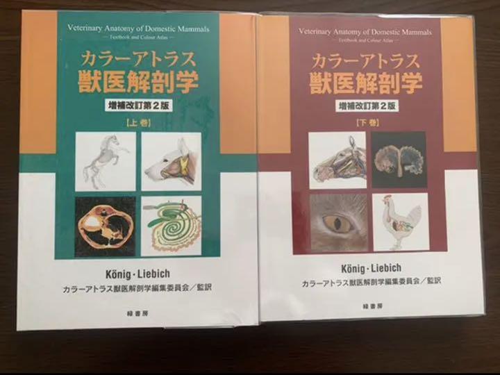 全国宅配無料 健康/医学 本・音楽・ゲーム-www.dawajen.bh 全国宅配無料 健康/医学 本・音楽・ゲーム-www.dawajen.bh