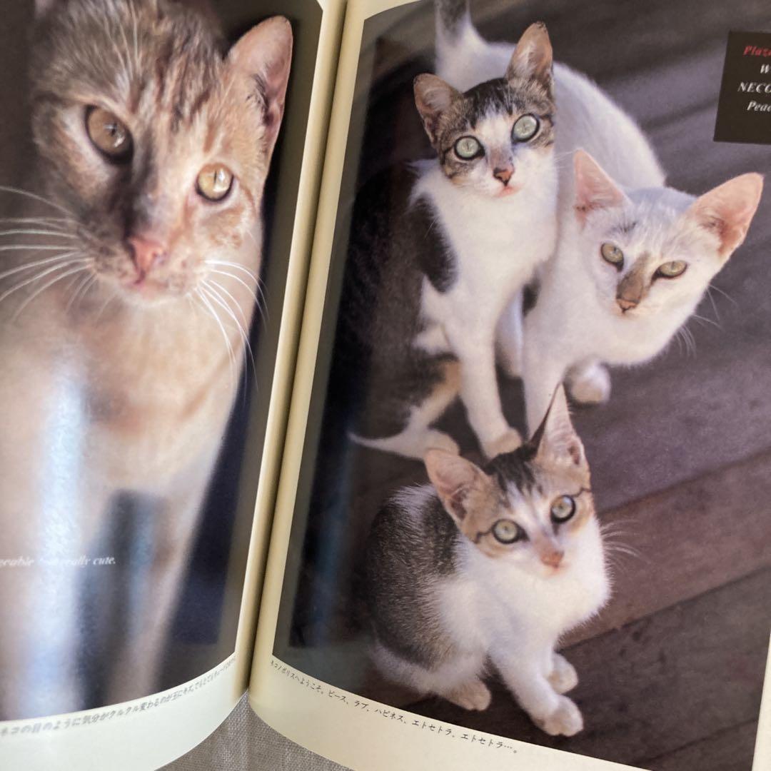 the CAT book 猫の本 FUJINGAHO-SHA - メルカリ