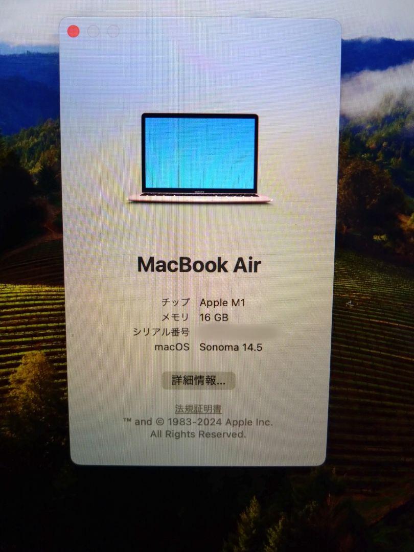 出品6月18日まで！ 美品 MacBook Air M1 16gb 512gb