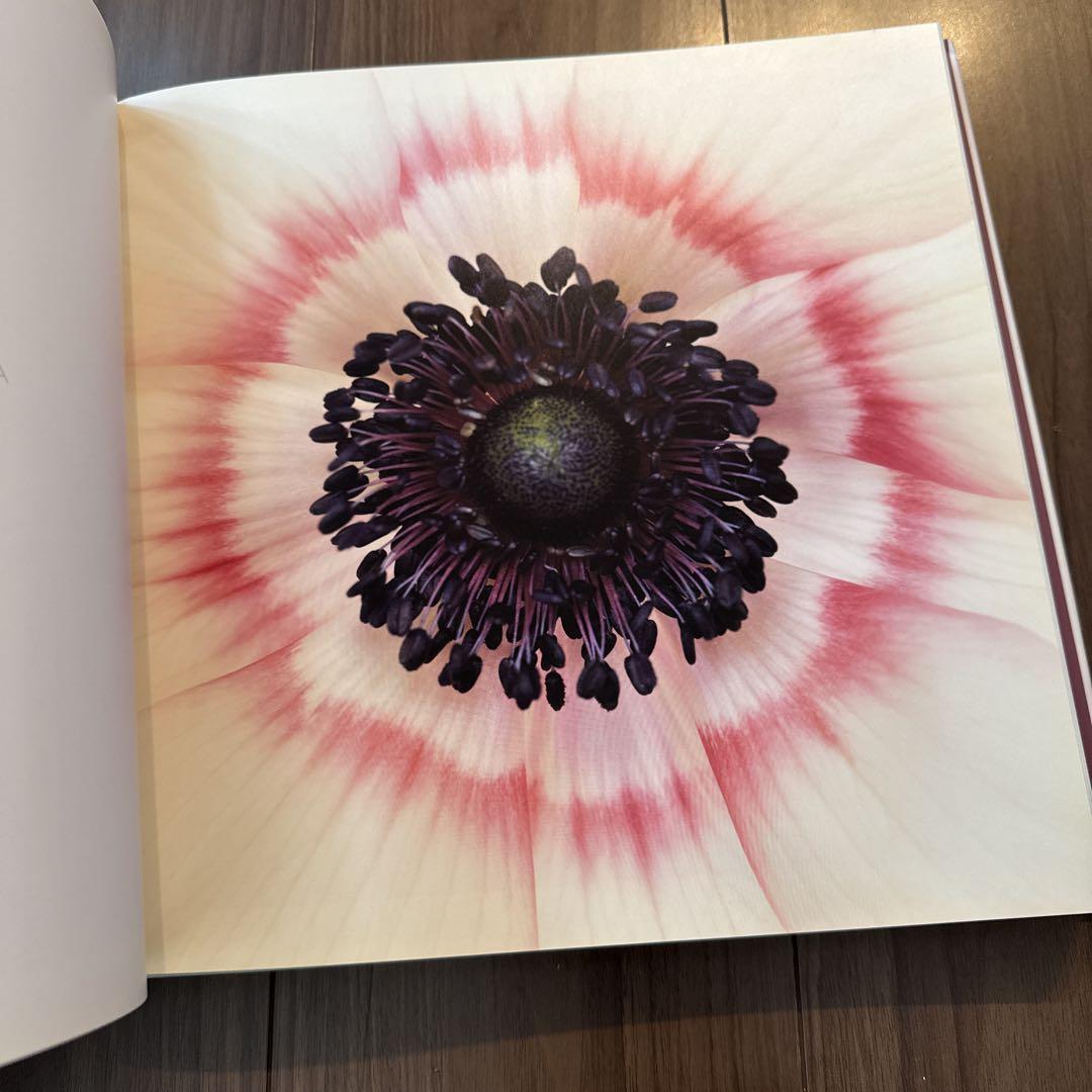 BLOOM Ron Van Dongen アート・デザイン・音楽 BLOOM Ron Van Dongen アート・デザイン・音楽